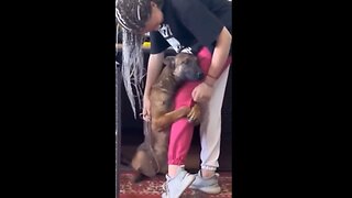 ❤️❤️❤️ JUST ADOPTED ❤️❤️❤️