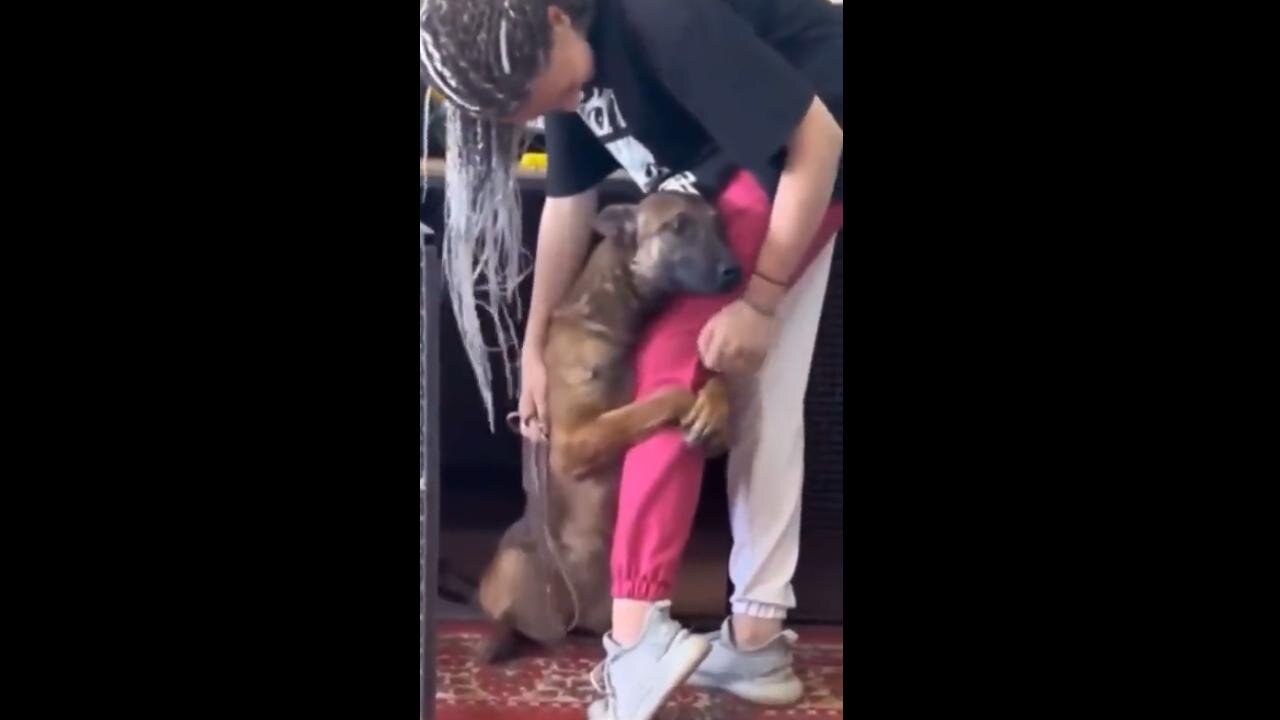 ❤️❤️❤️ JUST ADOPTED ❤️❤️❤️