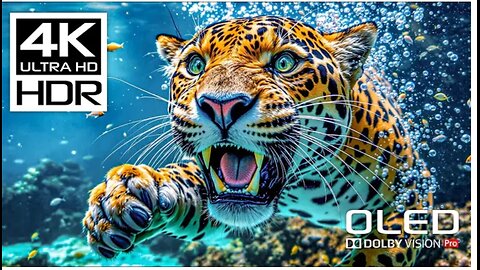 Amazing Wildlife in Stunning 4K HDR 120 FPS Video - Dolby Vision