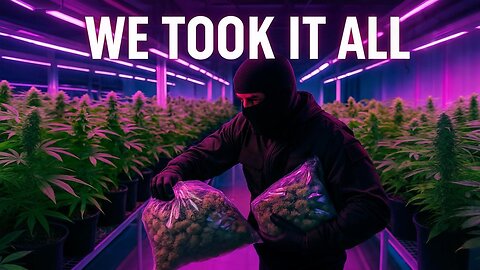 Storytime: We Robbed a Grow Op