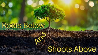 Roots Below And Shoots Above