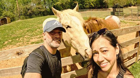 Chestatee Wildlife Preserve & Zoo