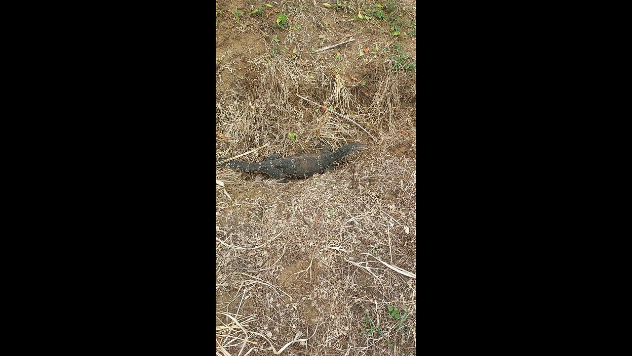 Found a New Friend 😁 | A Special Moment in Nature & Life