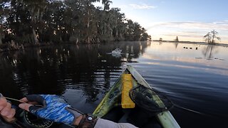 Kayak Bass Tournament with a Fly Rod Lake Arbuckle 13 Dec 2025