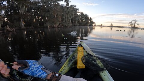 Kayak Bass Tournament with a Fly Rod Lake Arbuckle 13 Dec 2025