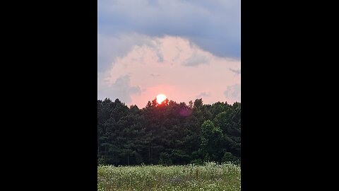 What kind of sun is this?