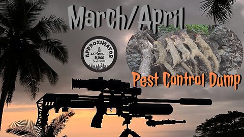 I’m Back! Airgun Hunting Pest Control Video Dump