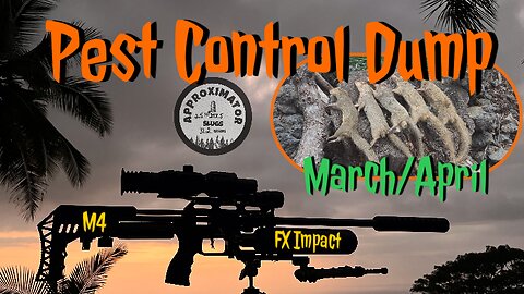 I’m Back! Airgun Hunting Pest Control Video Dump