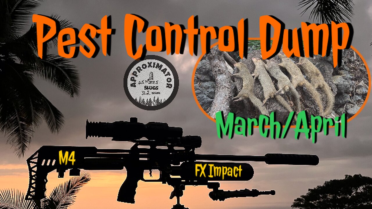 I’m Back! Airgun Hunting Pest Control Video Dump