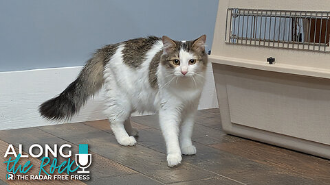 I’m Dreaming of a White Christmas… and a Home for Irving Berlin