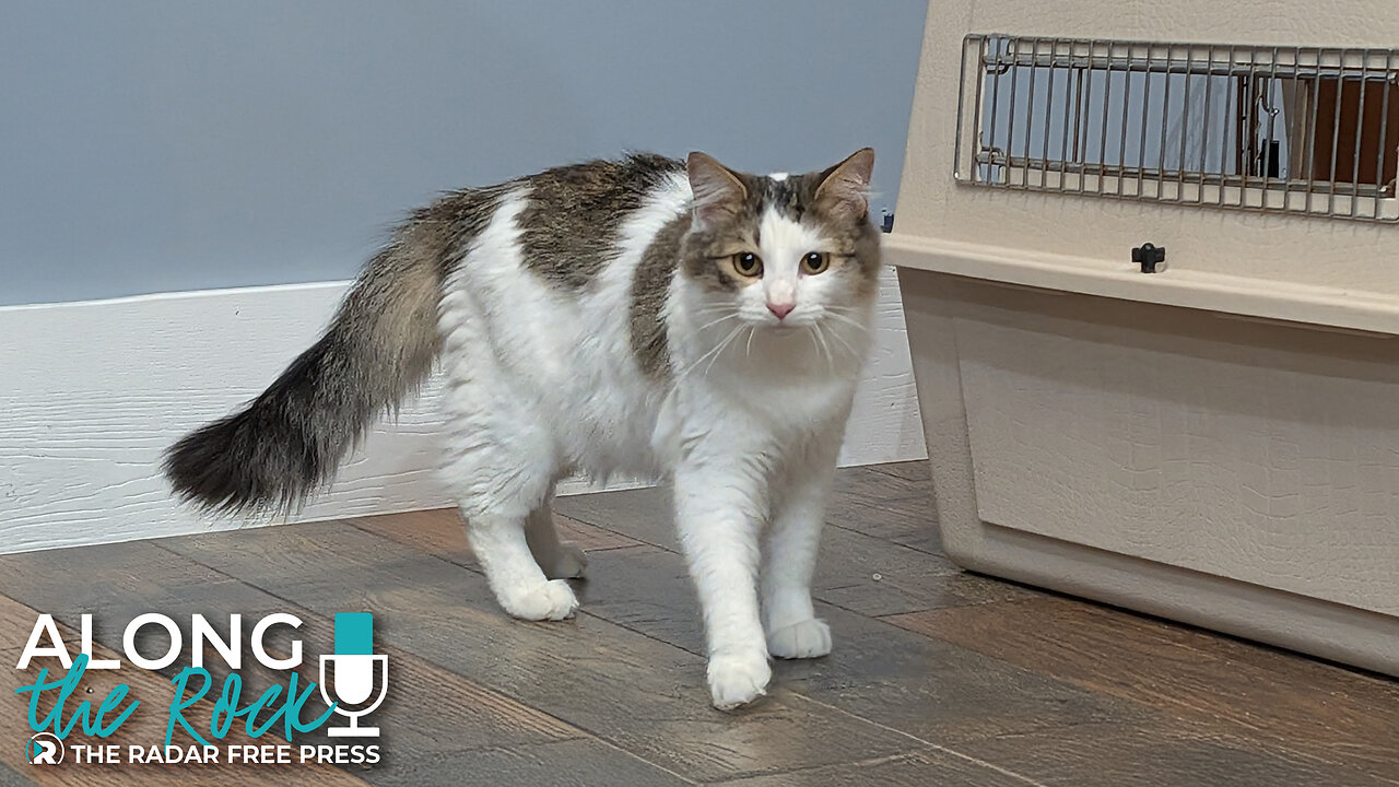 I’m Dreaming of a White Christmas… and a Home for Irving Berlin