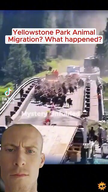 Why are the animals leaving in droves?