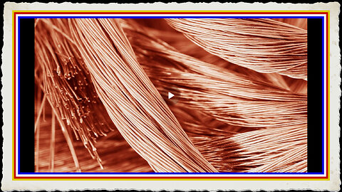 TRUMP'S VIZSLA - VERY INTERESTING