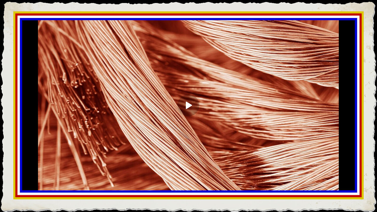 TRUMP'S VIZSLA - VERY INTERESTING