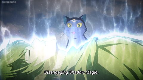 what is shadow magic truly | My Status as an Assassin Obviously Exceeds the Hero's