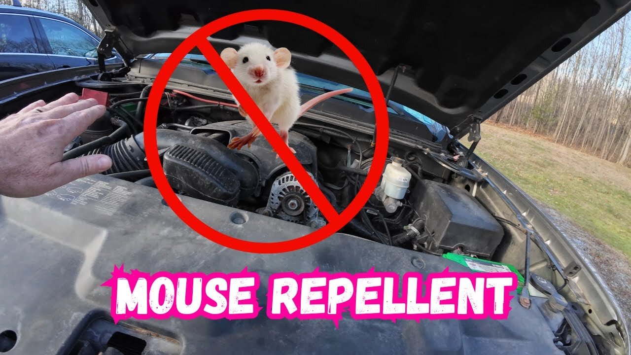 Mouse Repellent
