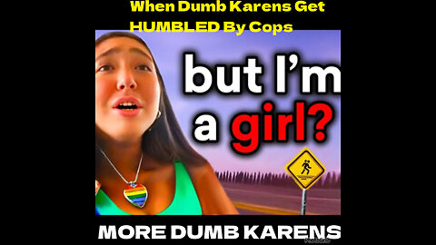 K #8. When Dumb Karens Get HUMBLED By Cops