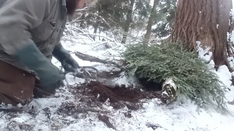 fisher trapping Pennsylvania 2025