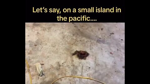 "Unlocking the Mystery: Was Directed Energy Weapon (DEW) Used in Maui, Hawaii?"