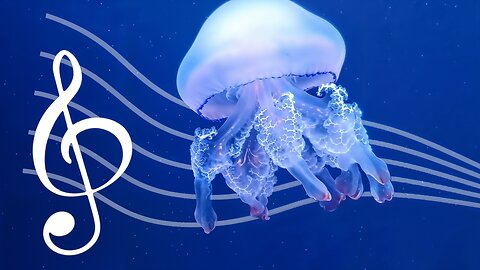 Fountain Sounds Radio 24/7