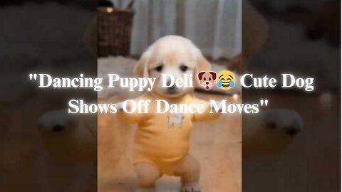 "Dancing Puppy Deli 🐶😂 Cute Dog Shows Off Dance Moves"