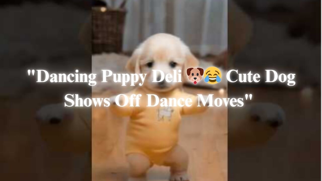 "Dancing Puppy Deli 🐶😂 Cute Dog Shows Off Dance Moves"