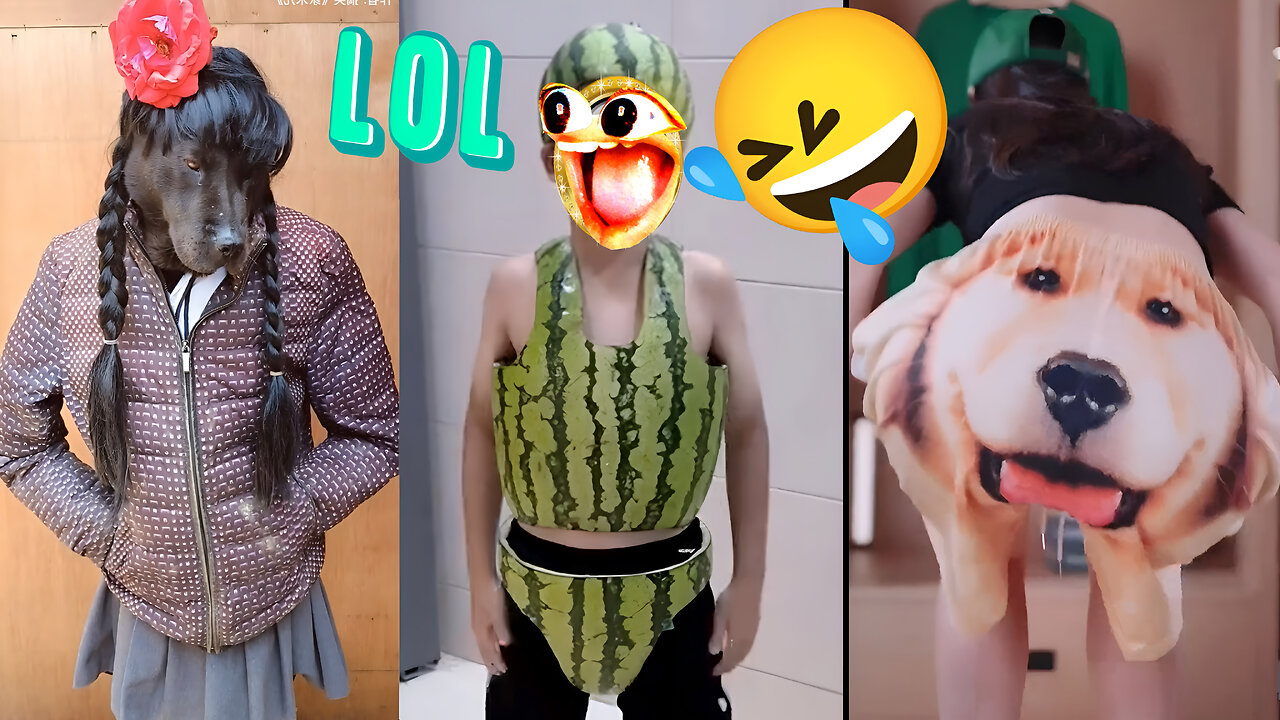 Crazy Funny Fails You Need to See - TRY NOT TO LAUGH Funny Videos
