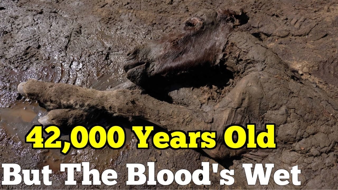 Seven Craziest Permafrost Discoveries From Russia & Alaska