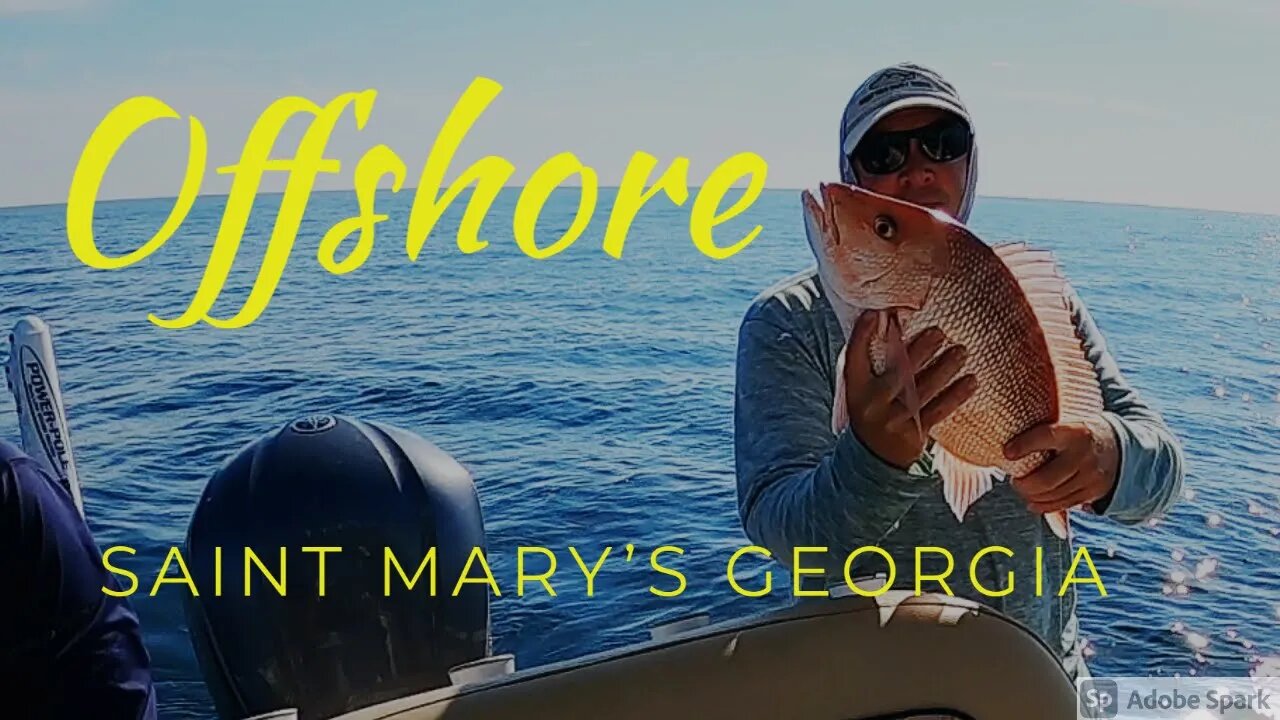 Red Snapper Trip from Saint Mary's