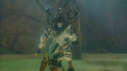 Worthy of the Blessing of the Goddess Hylia