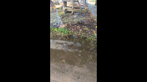 BradKuz76 WATER LEAK!!!