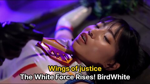 Wings of justice that cut through the darkness — Bird White!
