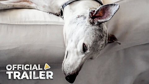 Abby's List, A Dogumentary — Official Trailer (2025)