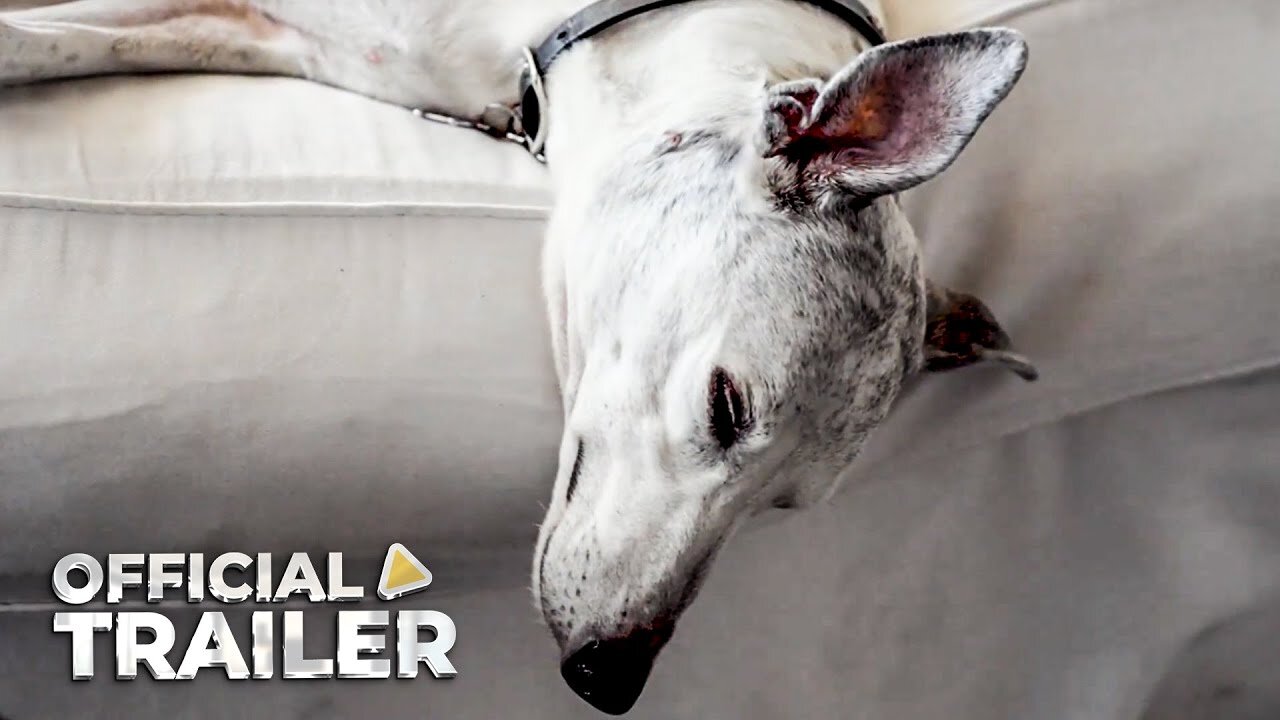 Abby's List, A Dogumentary — Official Trailer (2025)