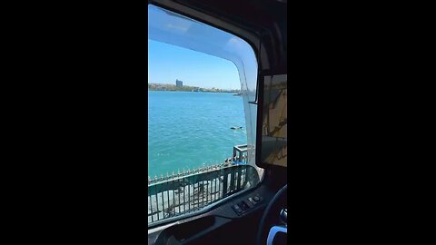 Dolphins' fun
