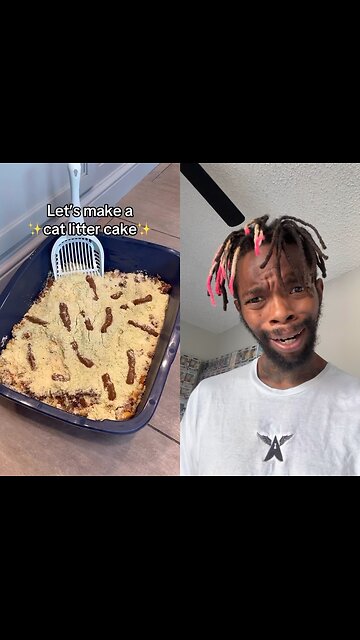 Would you eat this litter box?