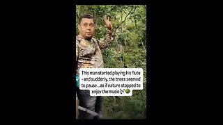 Love All Life Always #481 - Plants Enjoying Music? Watch. Yes, Vibrational Impact Of Music Is Real.