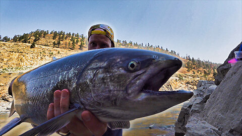 More PINK SALMON Than I Can Count and First Chinook Salmon of the Year