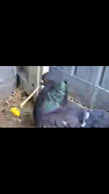 INTIMACY WITH OUR HEAVENLY FATHER - DAILY DEVOTIONAL ❤️