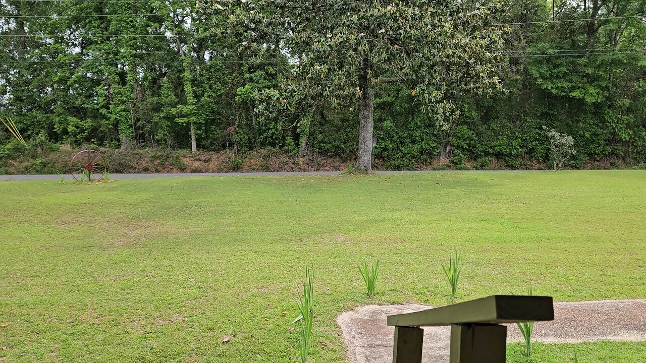 Porch Report 190425
