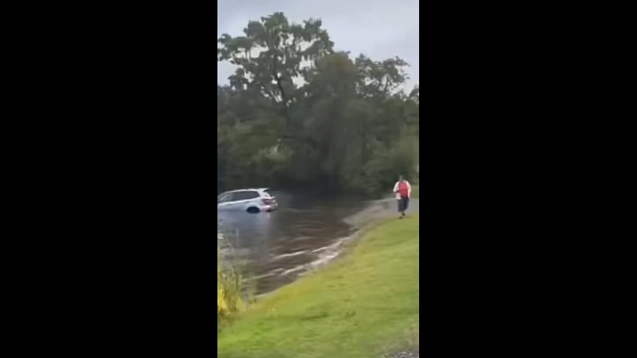 ✔️In the US, a liberal woman ran out of her car to record the actions of the immigration