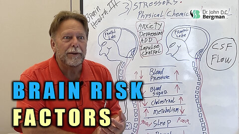 Brain Risk Factors 🧠🚨𖡎