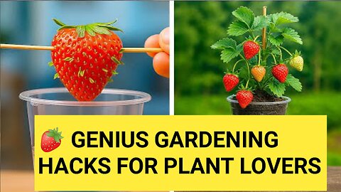 🍓 GENIUS GARDENING HACKS FOR PLANT LOVERS! Easy Tips for Healthy Plants 🌿✨