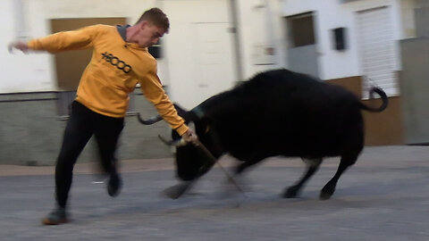 2025 11 14-15 TALES PATRONALES