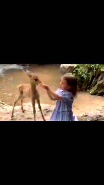 SANCTIFICATION: GOD'S GRAND PLAN - DAILY DEVOTIONAL ❤️