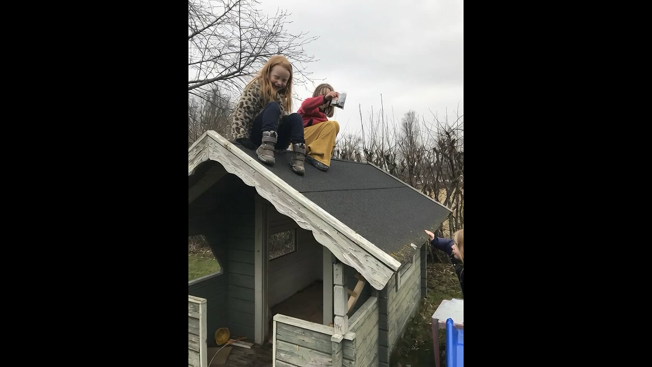 Some grok AI from image to video