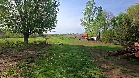 May Barn Opening _ And Updates! // Whitt Acres