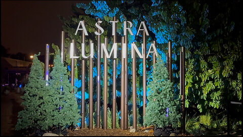 Astra Lumina in LA - Reid Anderson