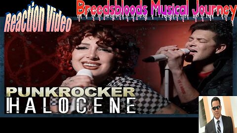 Halocene - Punkrocker - (Teddy ears, Iggy Pop Punk Cover Superman Soundtrack)