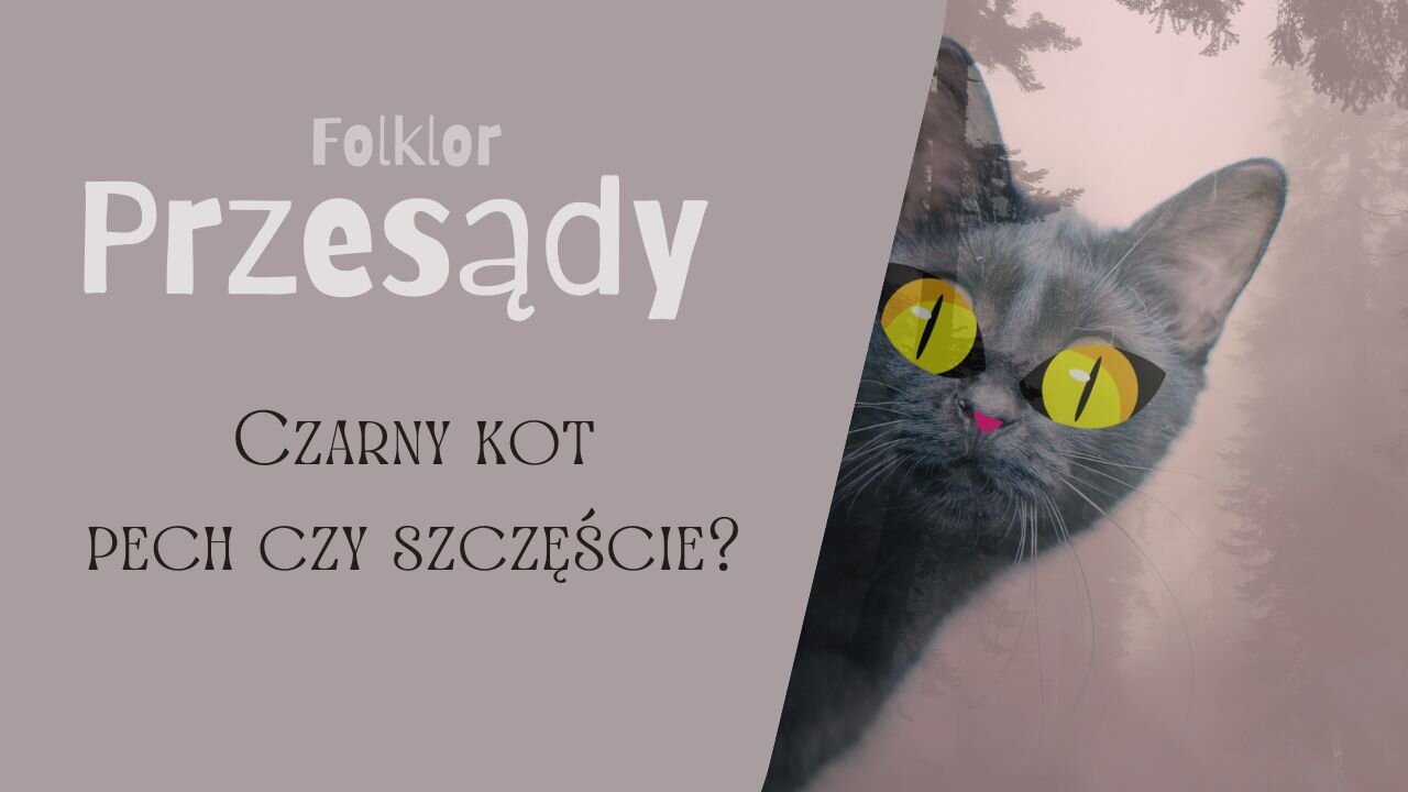Przesądy, czarny kot - szczęście czy pech?